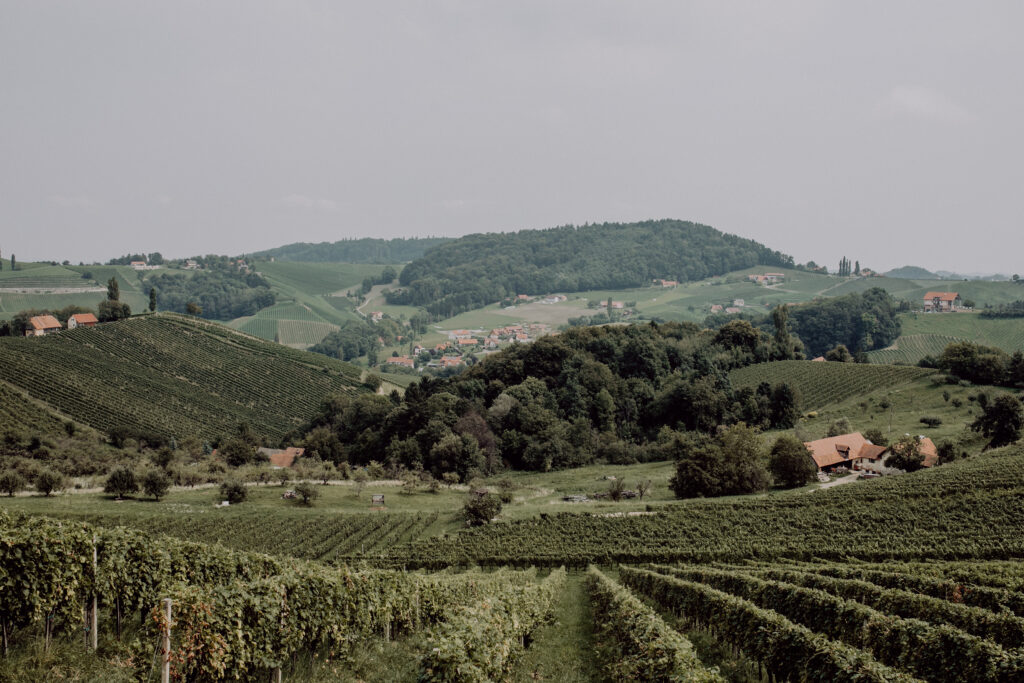 Weingärten und sanfte Hügel der Südsteiermark